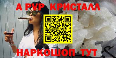 стаф Кунгур