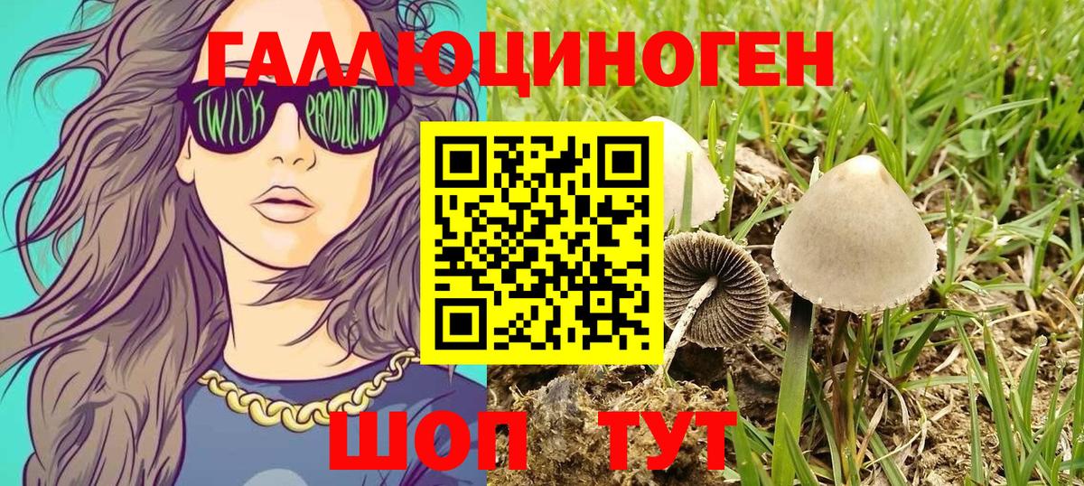 Галлюциногенные грибы GOLDEN TEACHER Жуковский